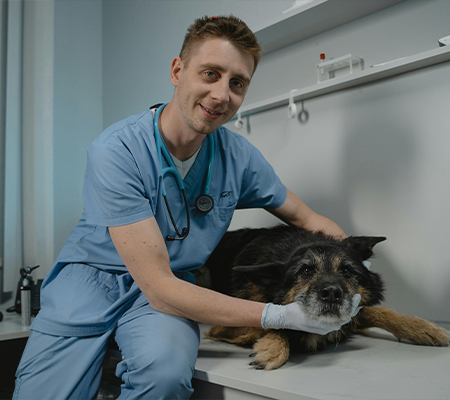 img-pet-care-min.png